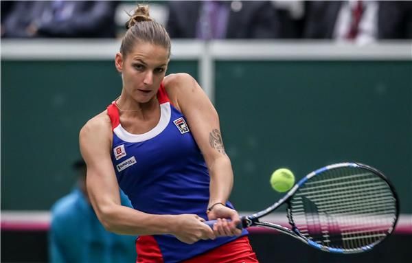 كارولينا بليسكوفا