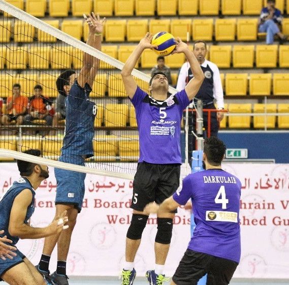 جانب من لقاء داركليب والنبيه صالح