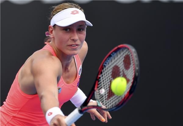  البلجيكية فيكماير