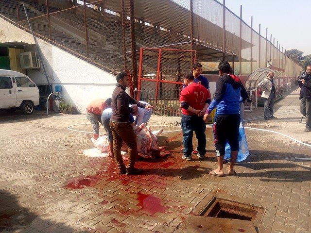 16997134_1561812843846953_271187796_n