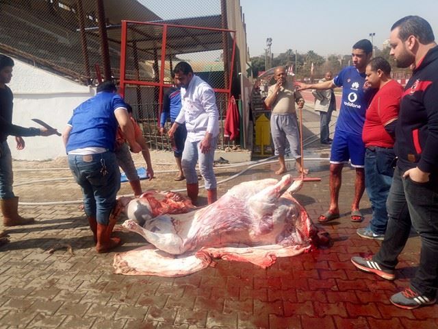 17028896_1561812833846954_231221592_n