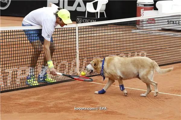 ?i=epa%2ftennis%2f2017-03%2f2017-03-04-05829861_epa