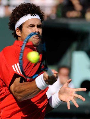 جو­ويلفريد تسونجا