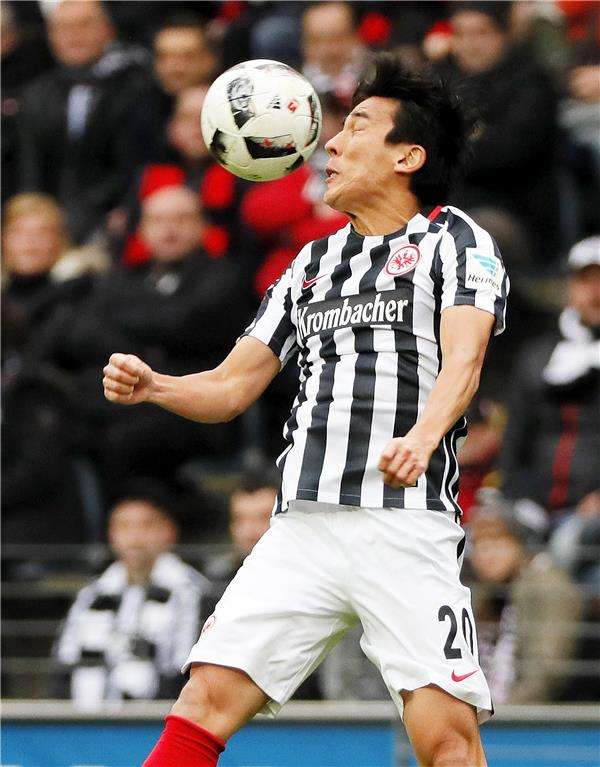 ماكوتو هاسيبي