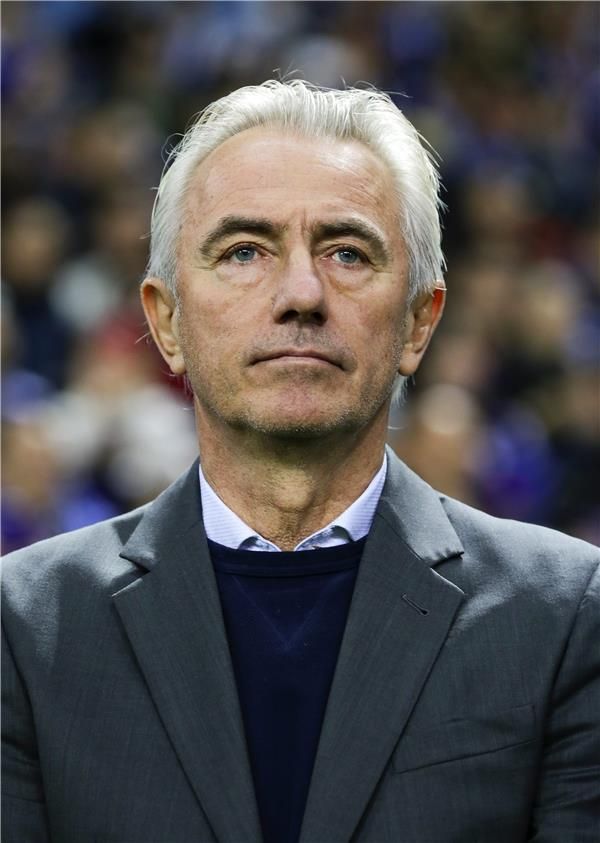 الهولندي بيرت فان مارفيك