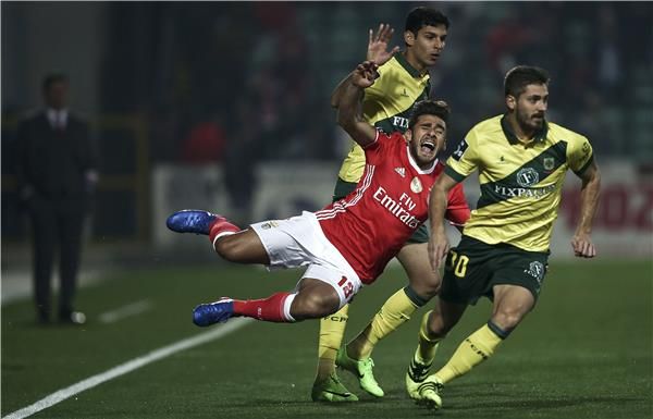 جانب من مباراة بنفيكا وباسوش