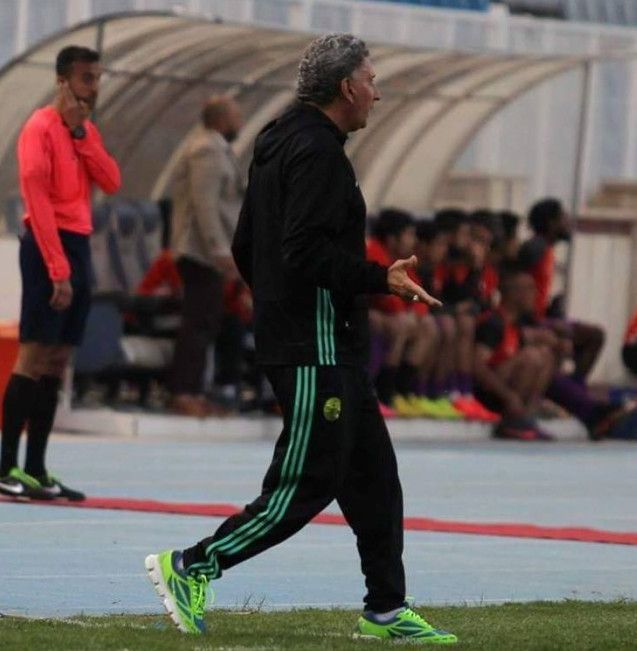حسن احمد 