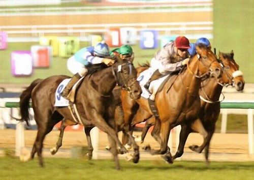 جانب من السباق