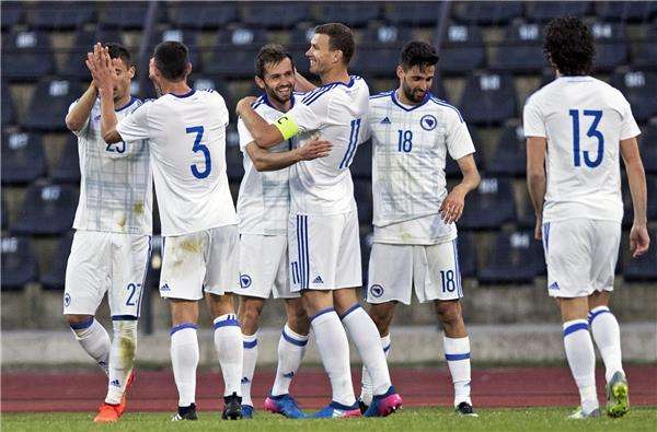 فرحة لاعبي البوسنة