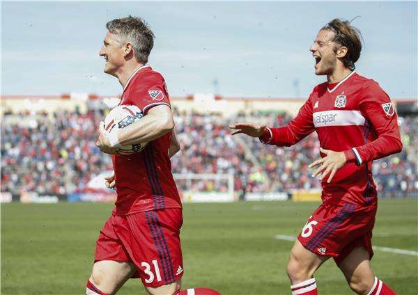 شفاينشتايجر