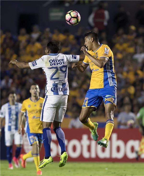  تعادل تيجريس وباتشوكا