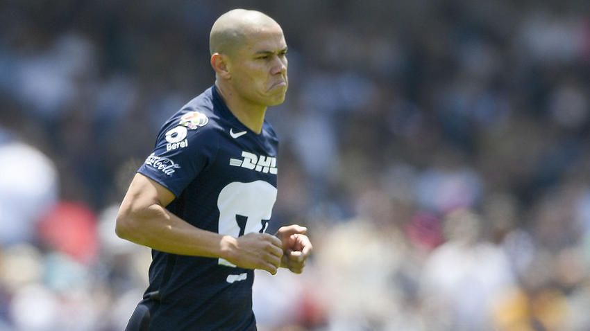  داريو فيرون