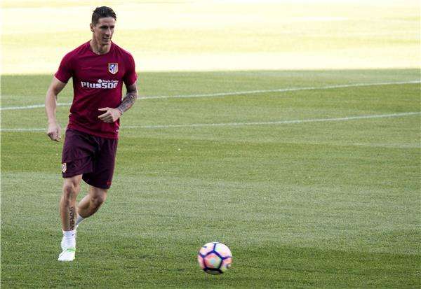 فرناندو توريس