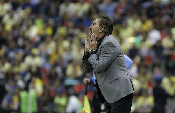 الأرجنتيني ريكاردو لافولبي