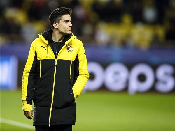 مارك بارترا