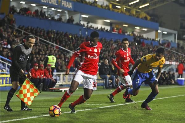 نيلسون سيميدو