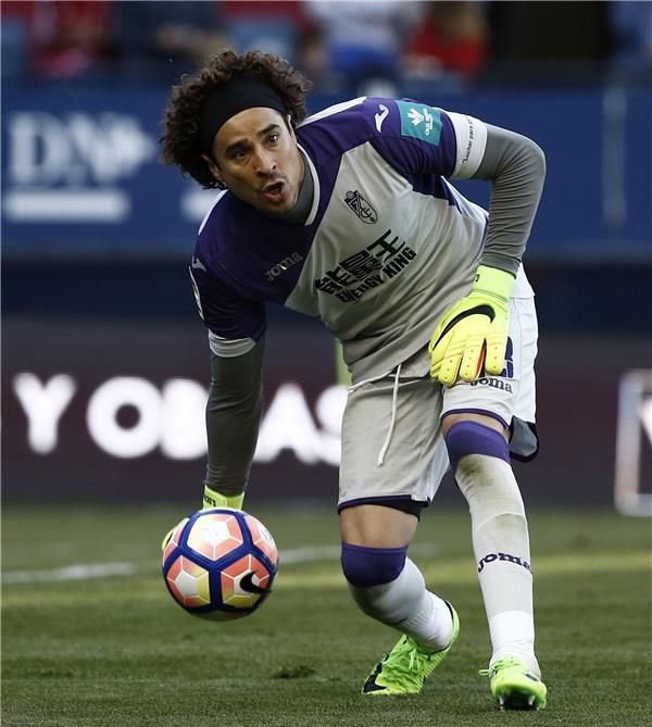 جييرمو أوتشوا