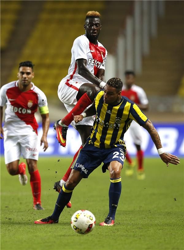 فان دير فيل