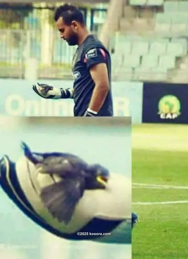 ?i=corr%2f3%2fkoo_3860