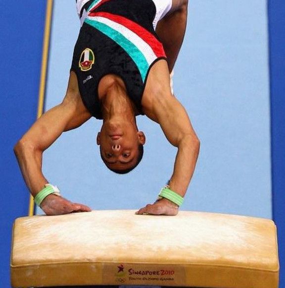 أدهم الصقور