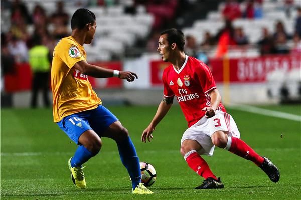 أليخاندرو جريمالدو