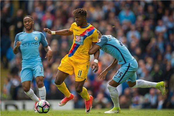 ويلفرد زاها