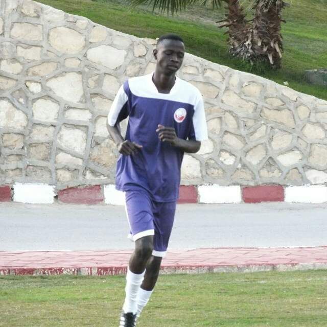 أحمد حامد "التش"