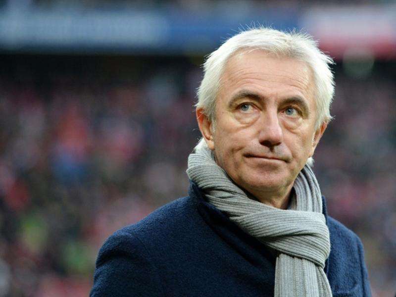 بيرت فان مارفيك