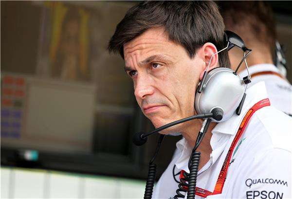 توتو فولف