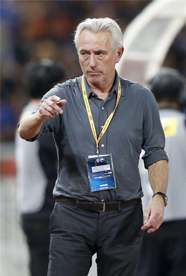  بيرت مارفيك