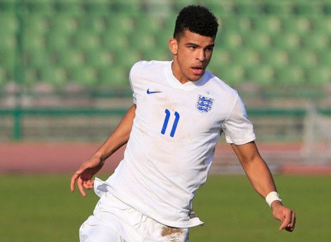  دومينيك سولانكي