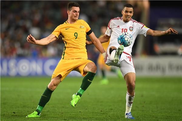 تومي يوريتش