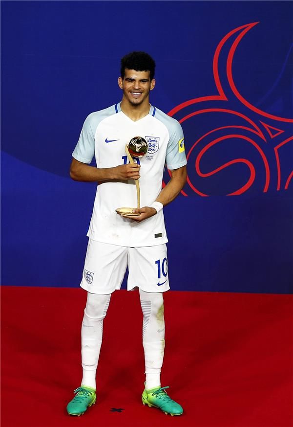  دومينيك سولانكي