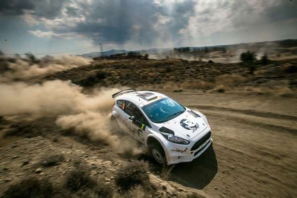 ناصر العطية 