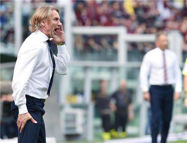 ديفيد نيكولا