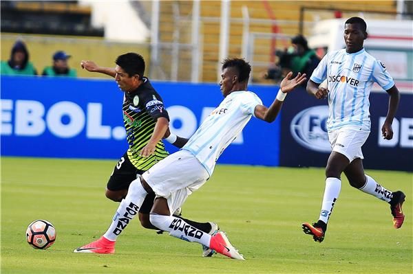 روبرت أربوليدا