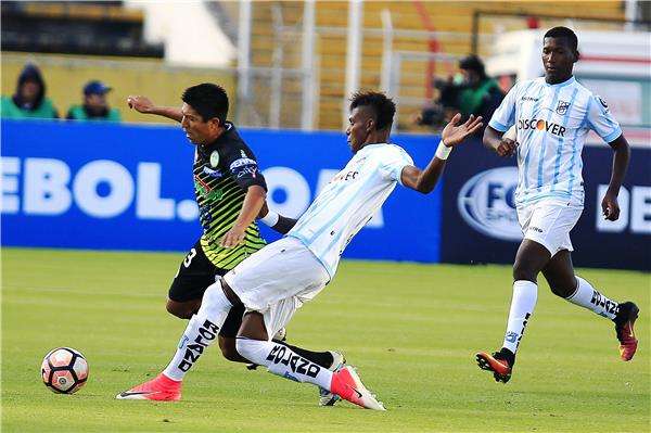 روبرت أربوليدا