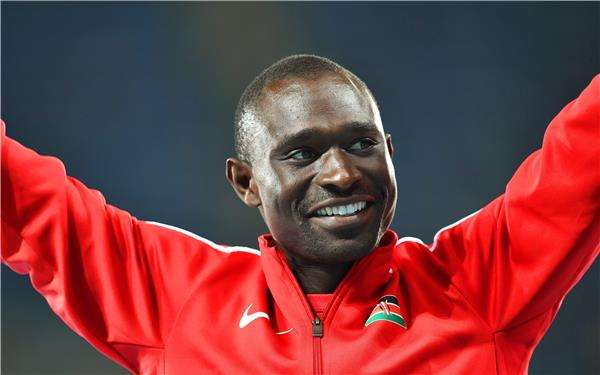 ديفيد روديشا