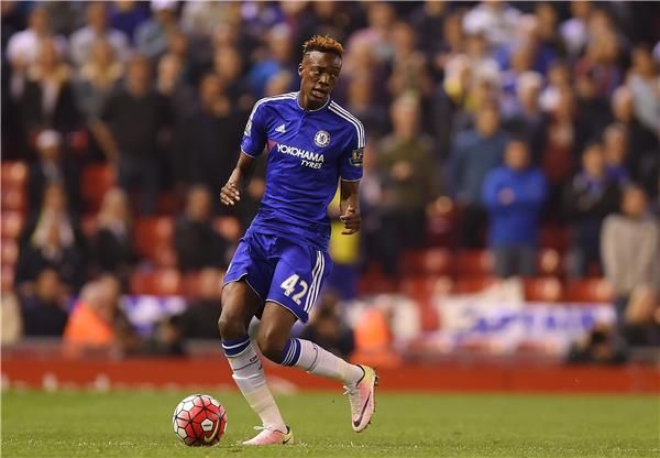 تامي أبراهام 