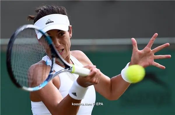 ?i=epa%2ftennis%2f2017-07%2f2017-07-06-06070485_epa