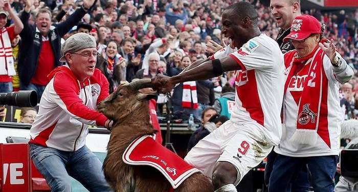 التيس هينيس