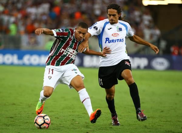 ويلينجتون سيلفا