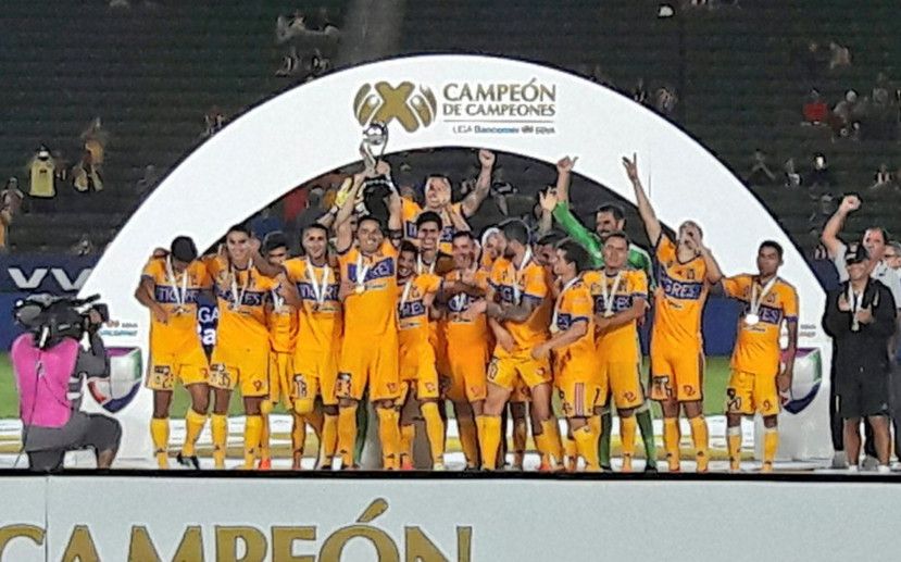 جانب من تتويج تيجريس