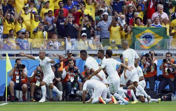 فيجولي مع منتخب الجزائر