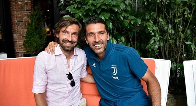 بيرلو وبوفون