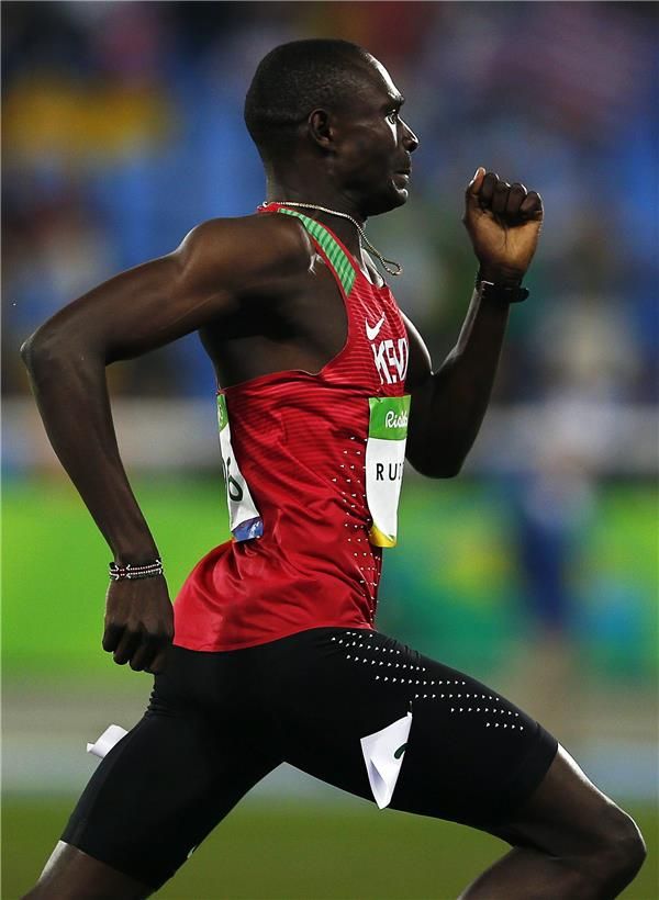  ديفيد روديشا