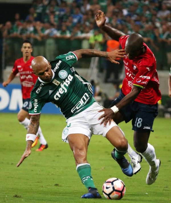  فيليبي ميلو