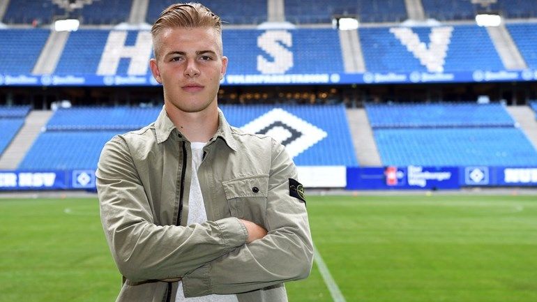 فان درونجيلين