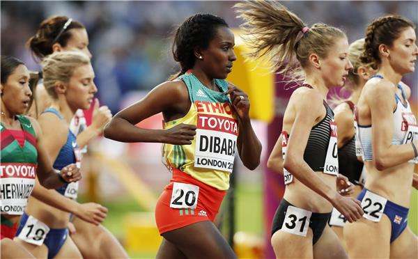 جينزيبي ديبابا