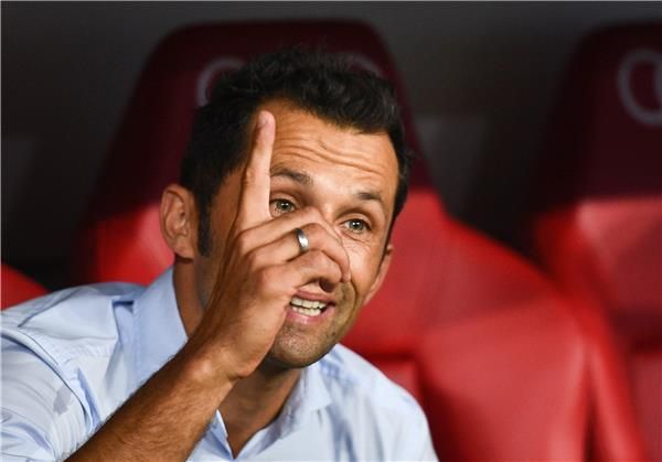 صالح حميديتش